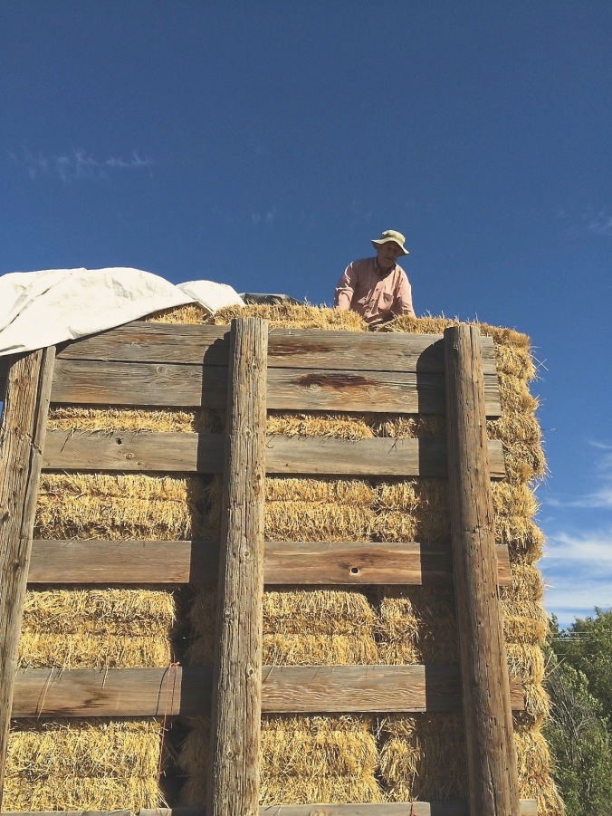 Dad on the haystack